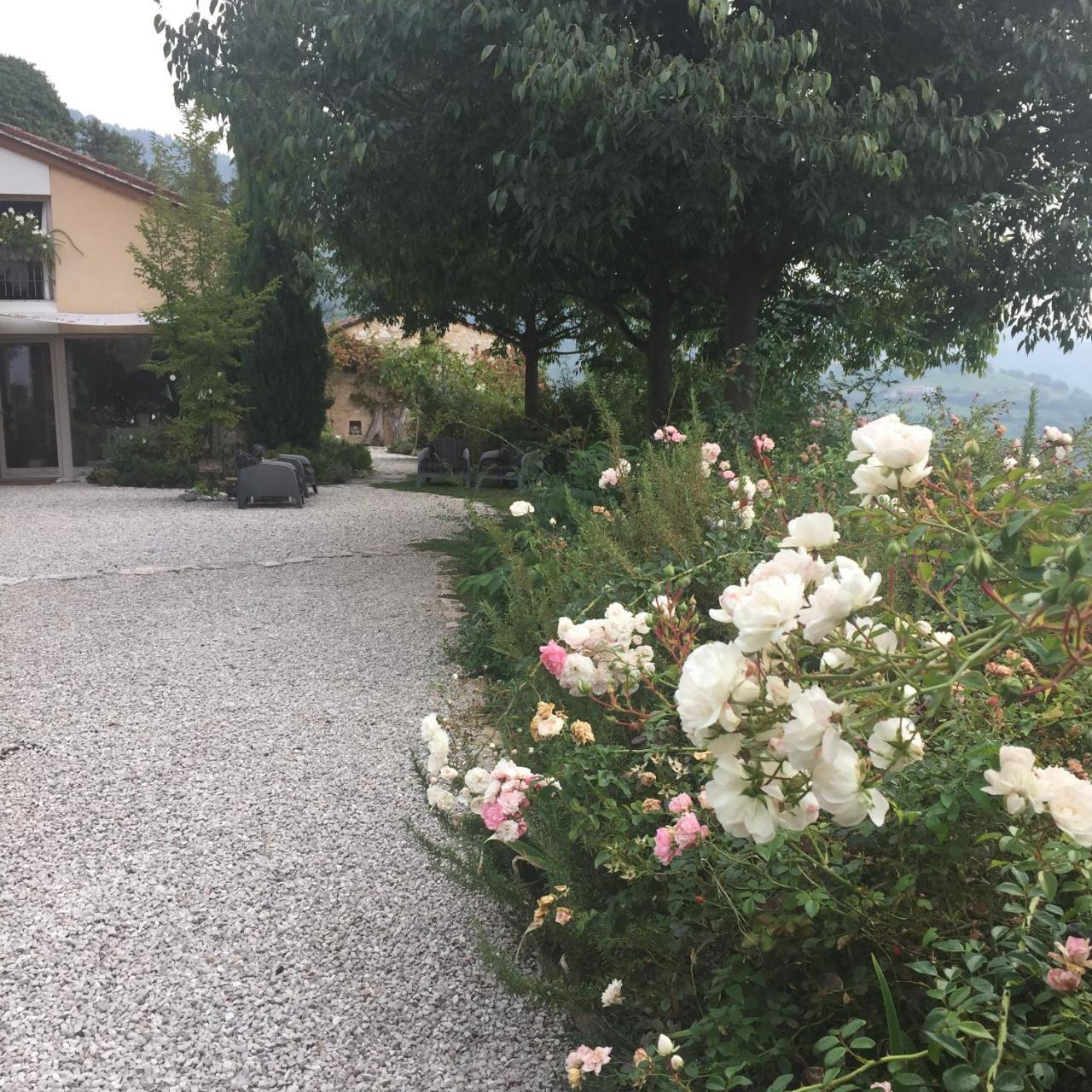 Calvenere Villa Kültér fotó